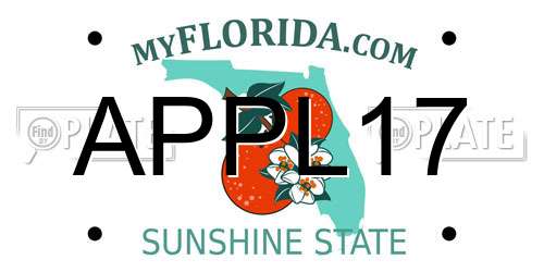 APPL17 Florida License Plate
