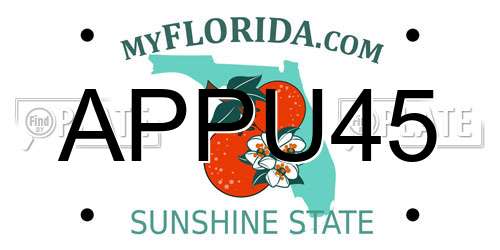 APPU45 Florida License Plate