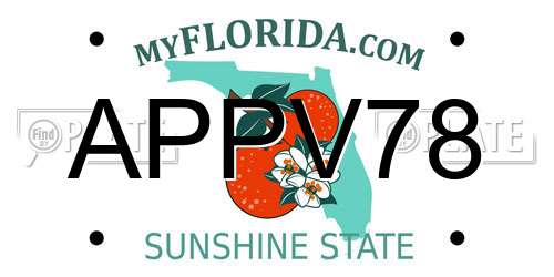 APPV78 Florida License Plate