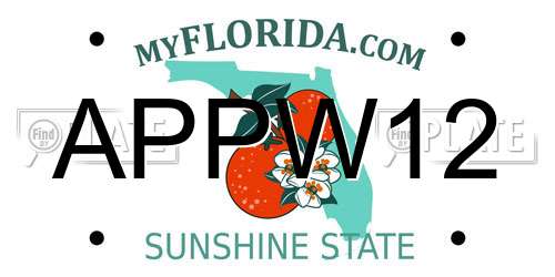 APPW12 Florida License Plate