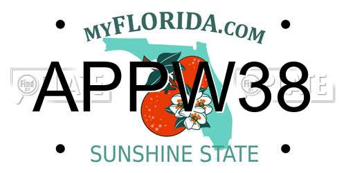 APPW38 Florida License Plate