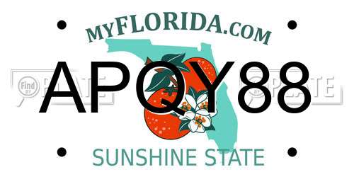 APQY88 Florida License Plate