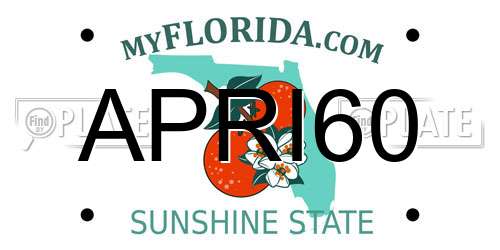 APRI60 Florida License Plate
