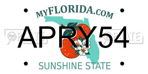 APRY54 Florida License Plate