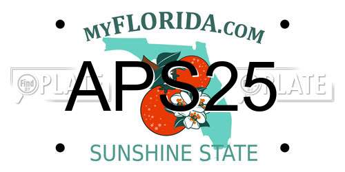 APS25 Florida License Plate