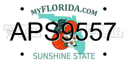 APS9557 Florida License Plate