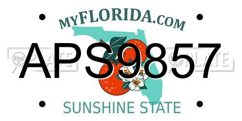 APS9857 Florida License Plate
