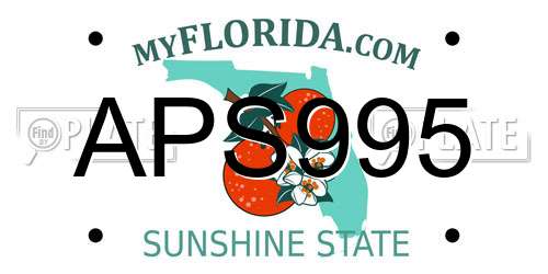 APS995 Florida License Plate