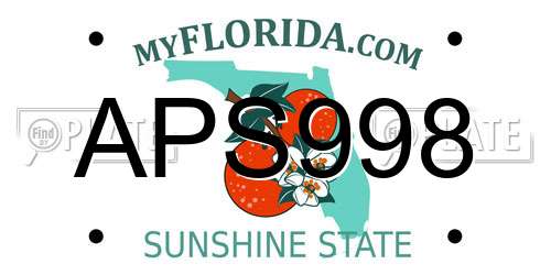APS998 Florida License Plate