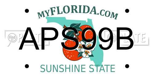 APS99B Florida License Plate