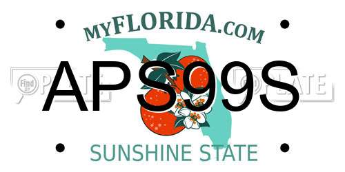 APS99S Florida License Plate