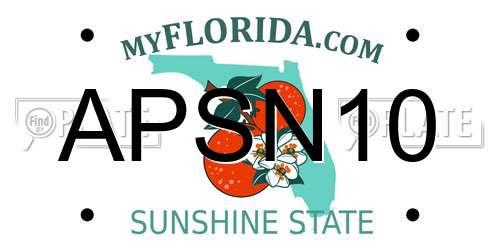 APSN10 Florida License Plate