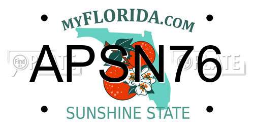 APSN76 Florida License Plate