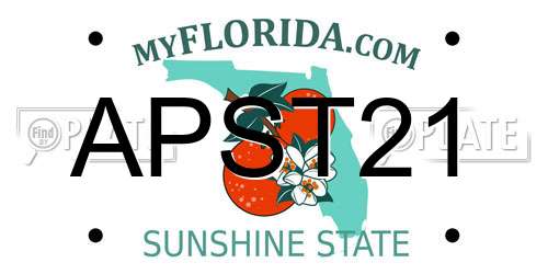APST21 Florida License Plate