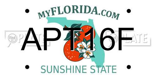 APT16F Florida License Plate