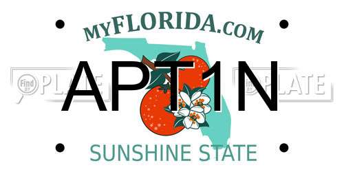 APT1N Florida License Plate