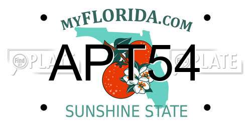 APT54 Florida License Plate