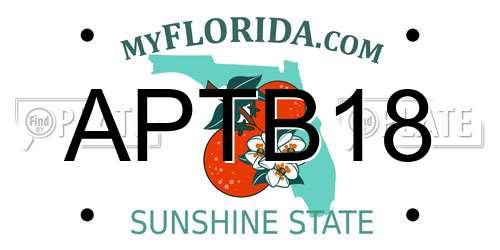 APTB18 Florida License Plate