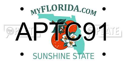 APTC91 Florida License Plate