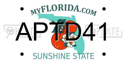 APTD41 Florida License Plate