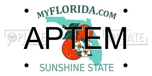 APTEM Florida License Plate