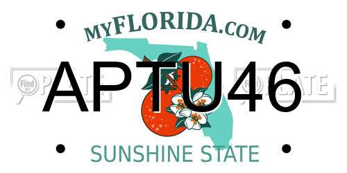 APTU46 Florida License Plate