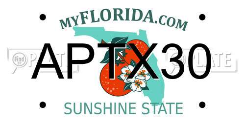 APTX30 Florida License Plate