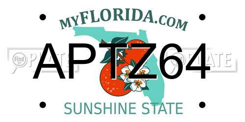 APTZ64 Florida License Plate