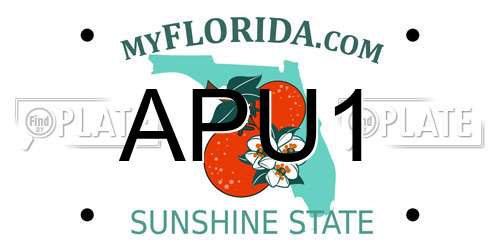 APU1 Florida License Plate