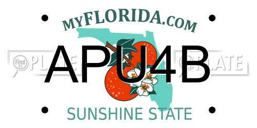APU4B Florida License Plate