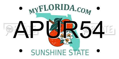 APUR54 Florida License Plate