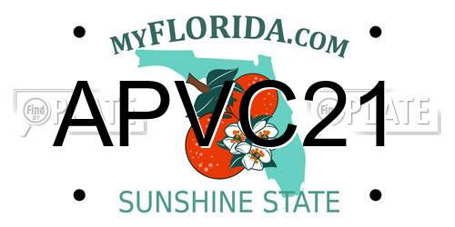 APVC21 Florida License Plate