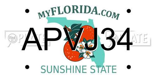 APVJ34 Florida License Plate
