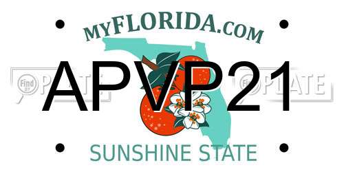 APVP21 Florida License Plate