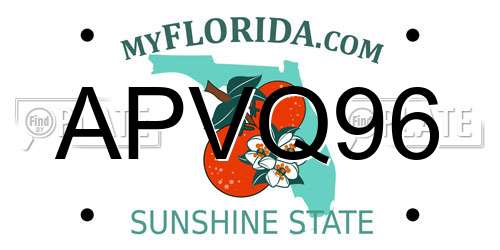 APVQ96 Florida License Plate