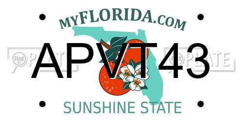 APVT43 Florida License Plate