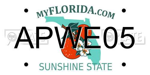 APWE05 Florida License Plate