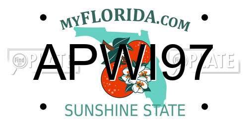 APWI97 Florida License Plate