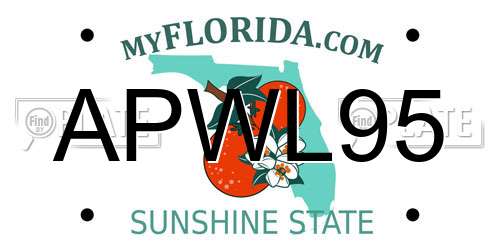 APWL95 Florida License Plate