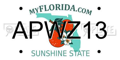 APWZ13 Florida License Plate
