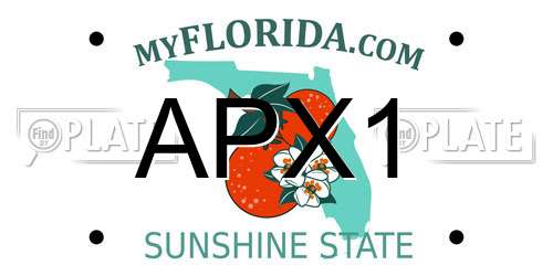 APX1 Florida License Plate