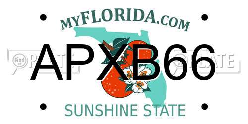 APXB66 Florida License Plate