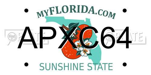 APXC64 Florida License Plate