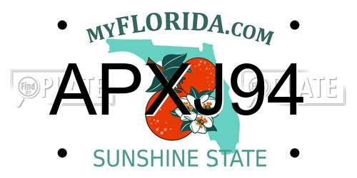 APXJ94 Florida License Plate