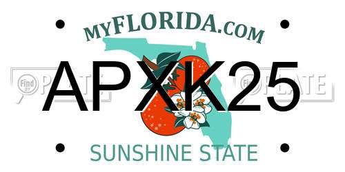 APXK25 Florida License Plate