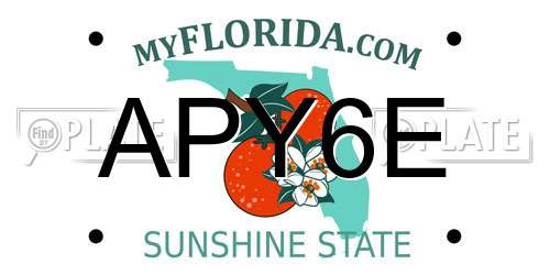 APY6E Florida License Plate