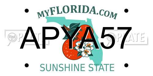 APYA57 Florida License Plate