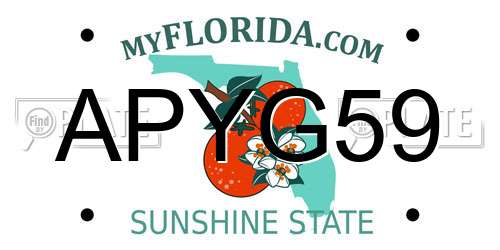 APYG59 Florida License Plate