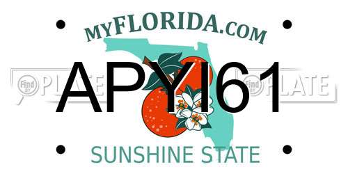 APYI61 Florida License Plate