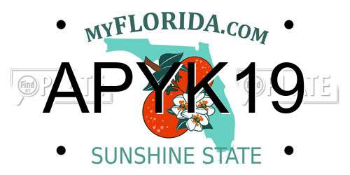 APYK19 Florida License Plate